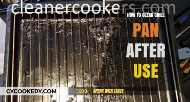 Mastering Grill Pan Cleaning: Quick, Easy, and Effective After-Use Tips