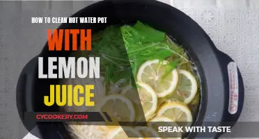 The Power of Lemon: Cleaning Your Hot Water Pot