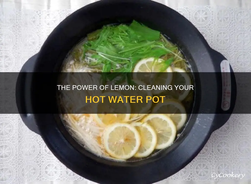 how to clean hot water pot with lemon juice