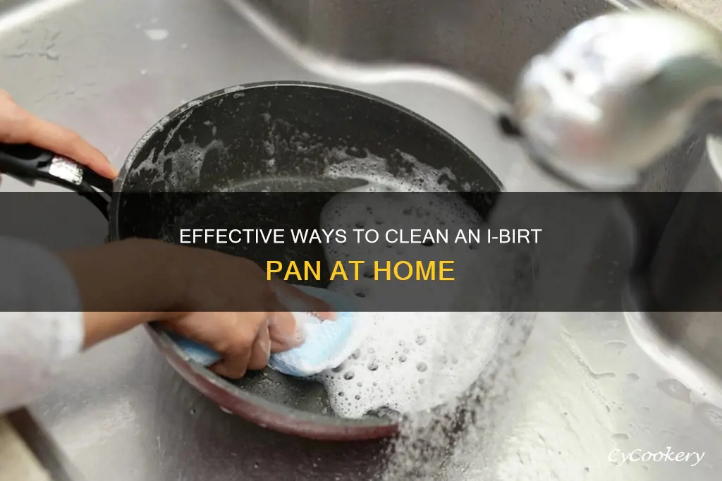 how to clean I birt pan