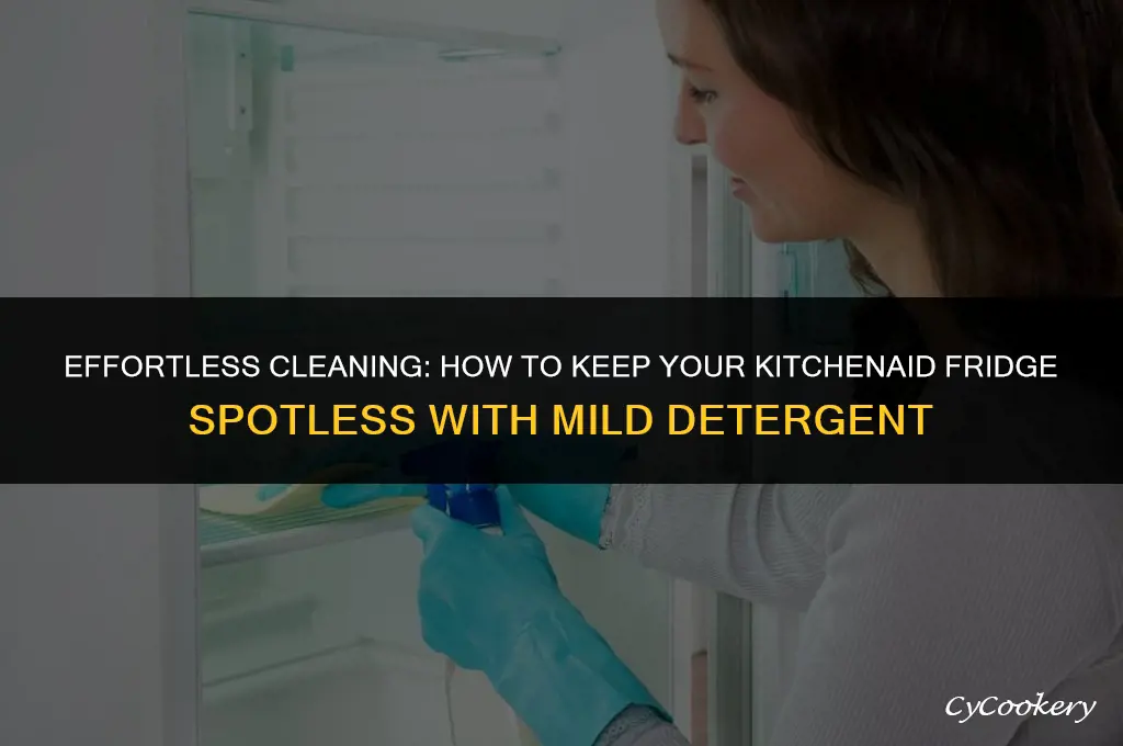 how to clean kitchenaid refrigerator with mild detergent