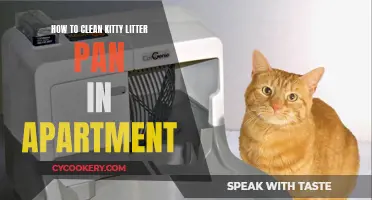 Cleaning Your Cat's Litter Pan in an Apartment: A Step-by-Step Guide