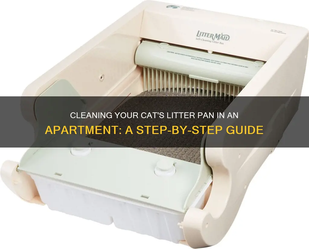 how to clean kitty litter pan in apartment