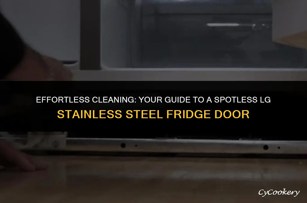 how to clean lg stainless steel refrigerator door