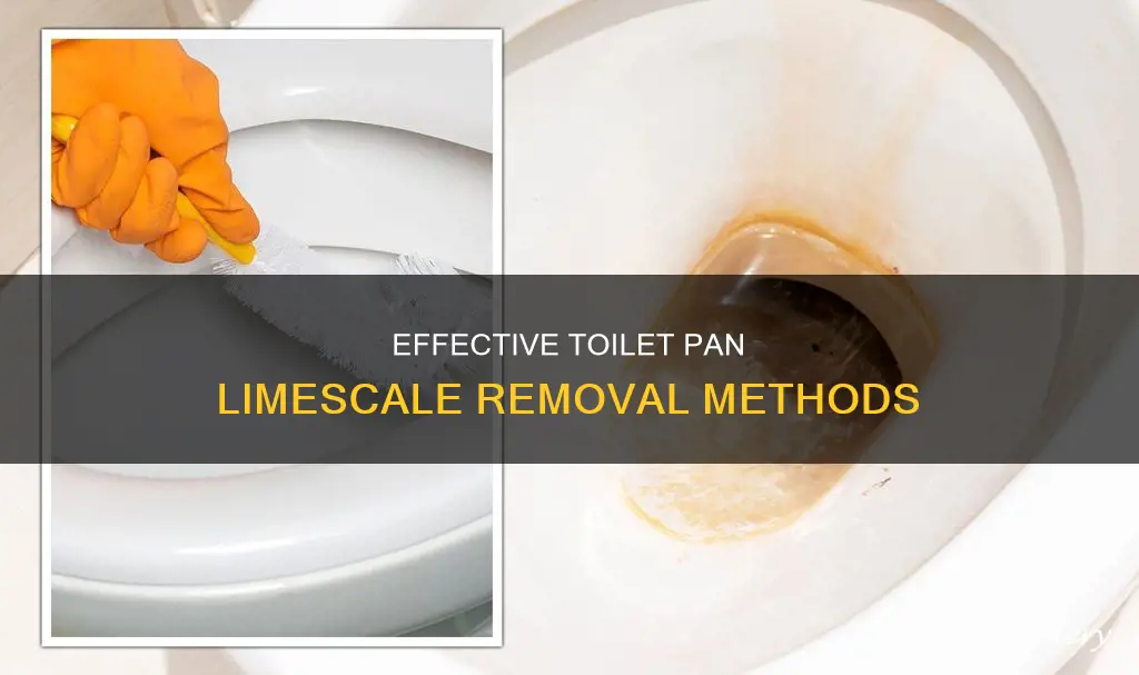 how to clean limescale from toilet pan