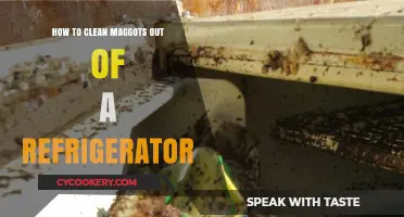 Efficiently Eliminate Maggots from Your Refrigerator: A Step-by-Step Guide