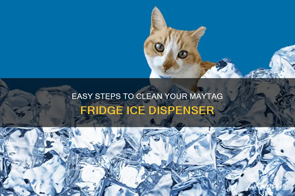 how to clean maytag refrigerator ice dispenser