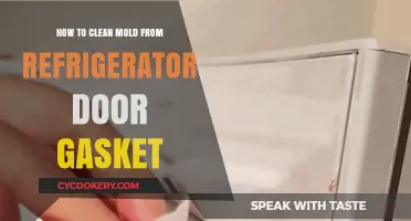 Effective Ways to Clean Mold from Your Refrigerator Door Gasket