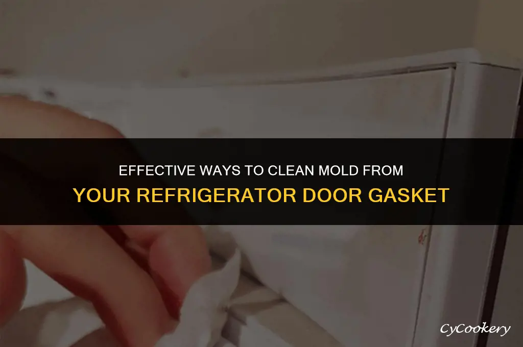 how to clean mold from refrigerator door gasket
