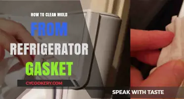 Effective Steps to Clean Mold from Your Refrigerator Gasket
