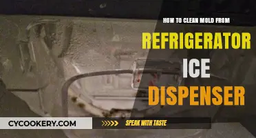 Effortless Mold Removal: Clean Your Refrigerator Ice Dispenser Today!