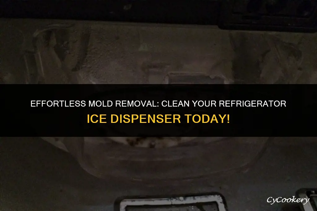 how to clean mold from refrigerator ice dispenser