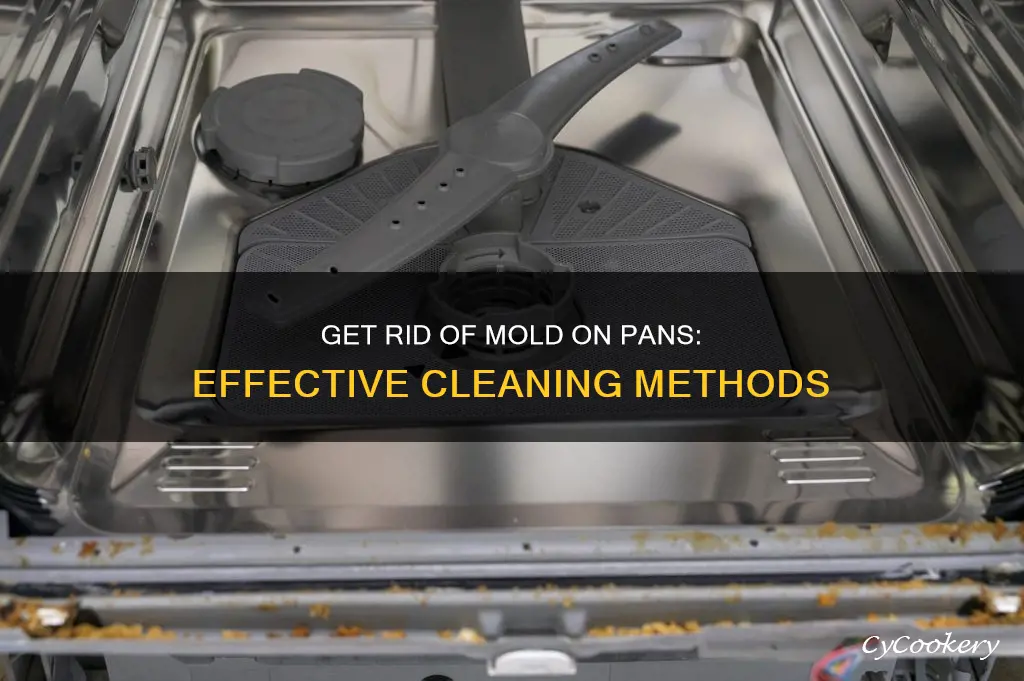 how to clean mold of a pan