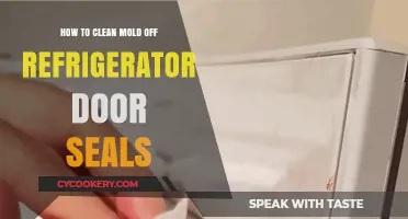 Effective Ways to Remove Mold from Refrigerator Door Seals