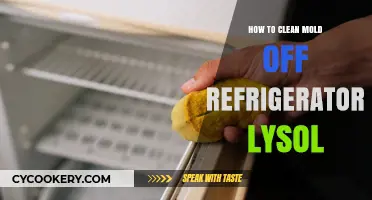 Effective Lysol Cleaning Tips to Remove Mold from Your Refrigerator