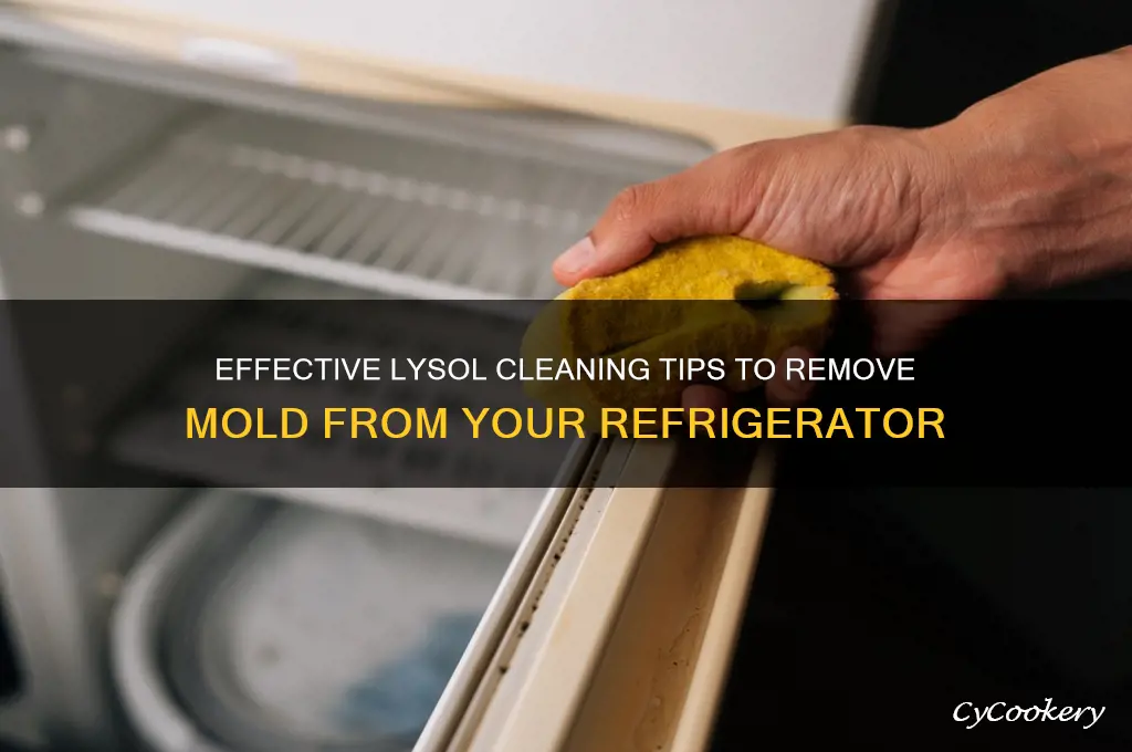 how to clean mold off refrigerator lysol