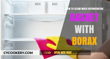 Borax Solution: Cleaning Mold from Your Refrigerator Gasket