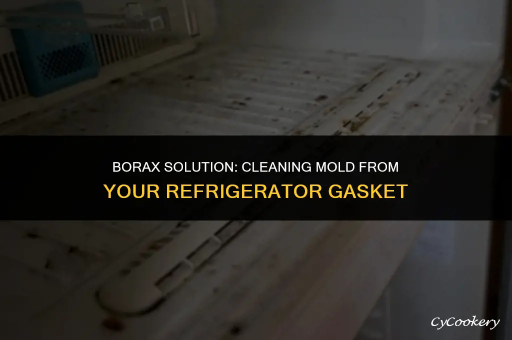 how to clean mold refrigerator gasket with borax