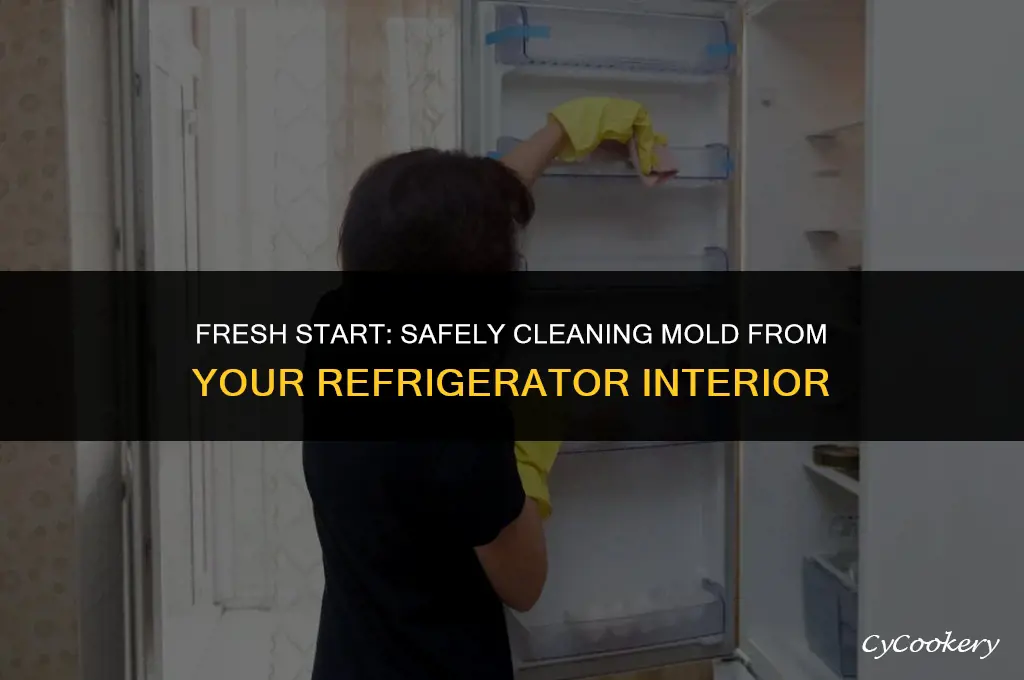 how to clean moldy refrigerator interior without spreading thespores
