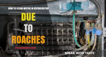 Effective Roach-Proofing: Cleaning Your Refrigerator Motor Hassle-Free