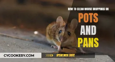 Cleaning Mouse Droppings from Pots and Pans