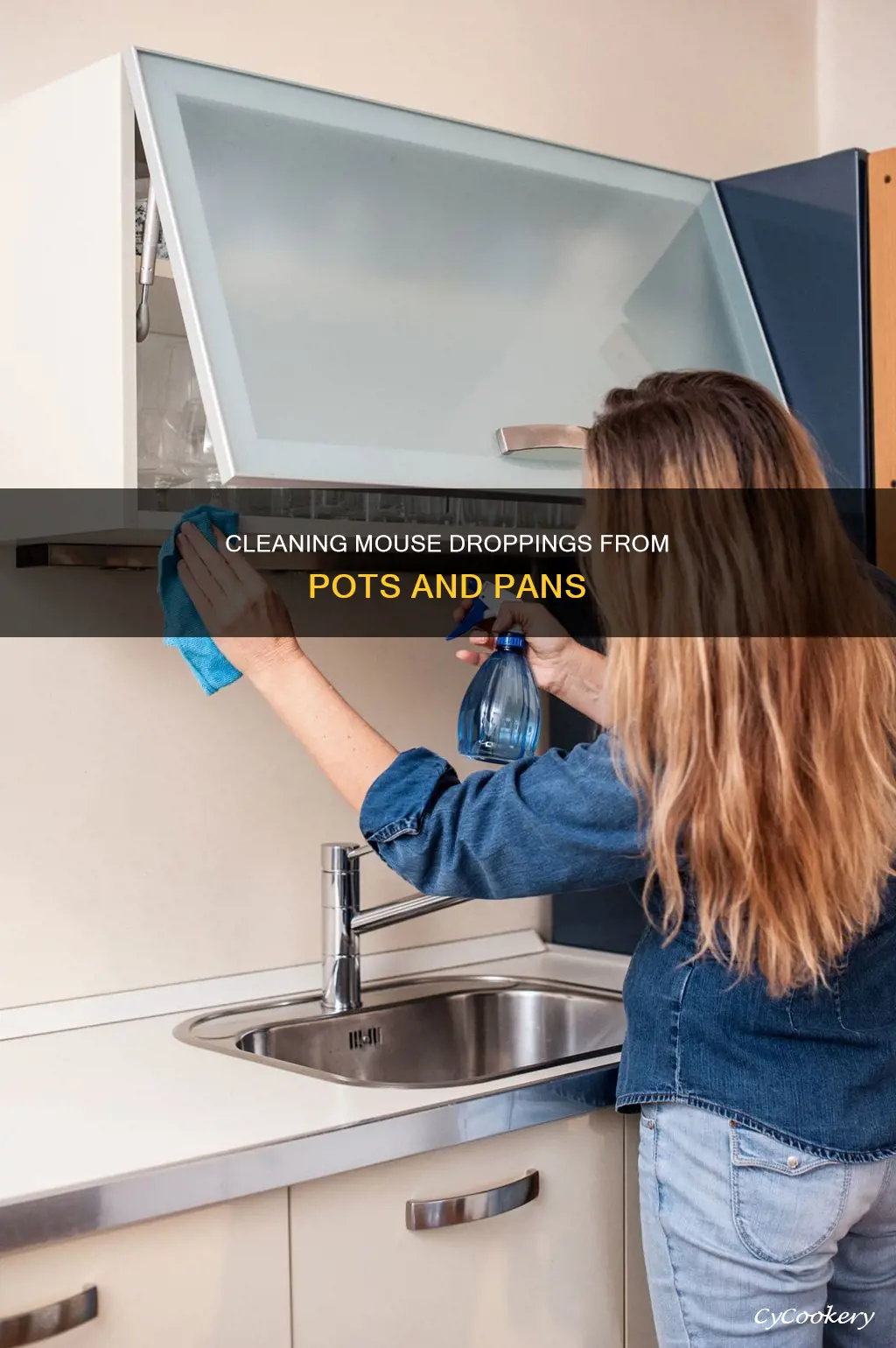 how to clean mouse droppings on pots and pans