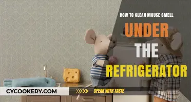 Freshen Up Your Kitchen: Eliminating Mouse Smells Under the Fridge