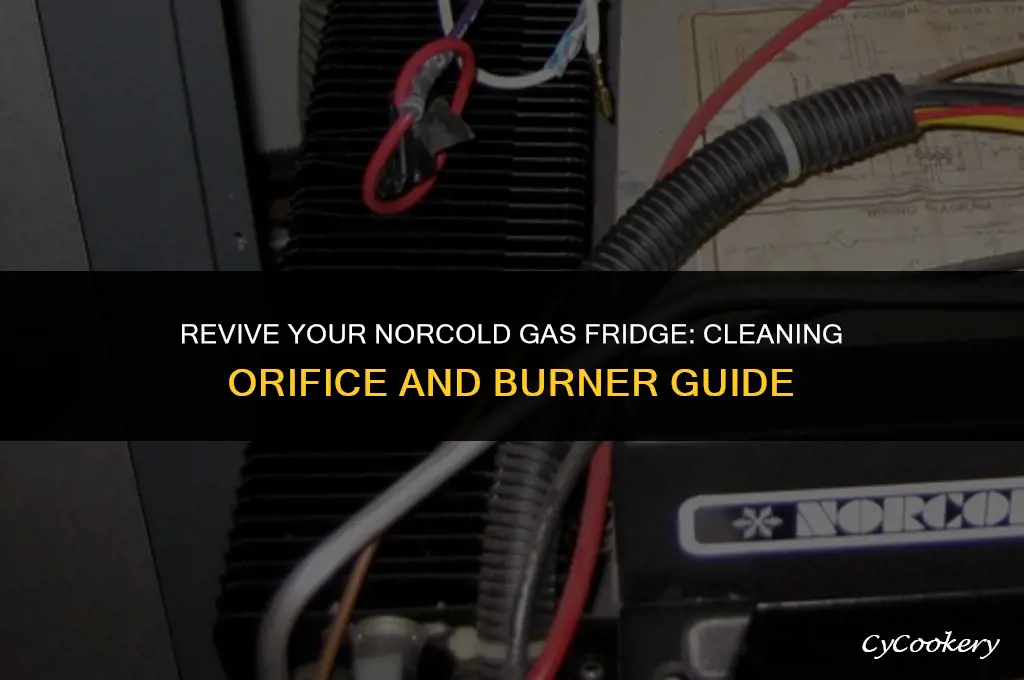 how to clean norcold gas refrigerator orifice and burner