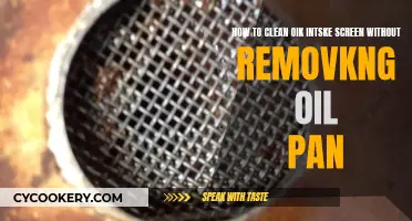 Clean Your Oily Bike Screen Without Removing Oil Pan