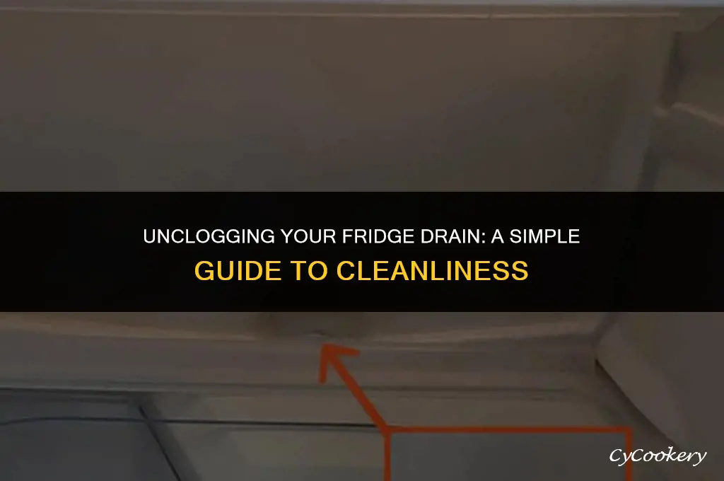 how to clean out drain pipe on refrigerator