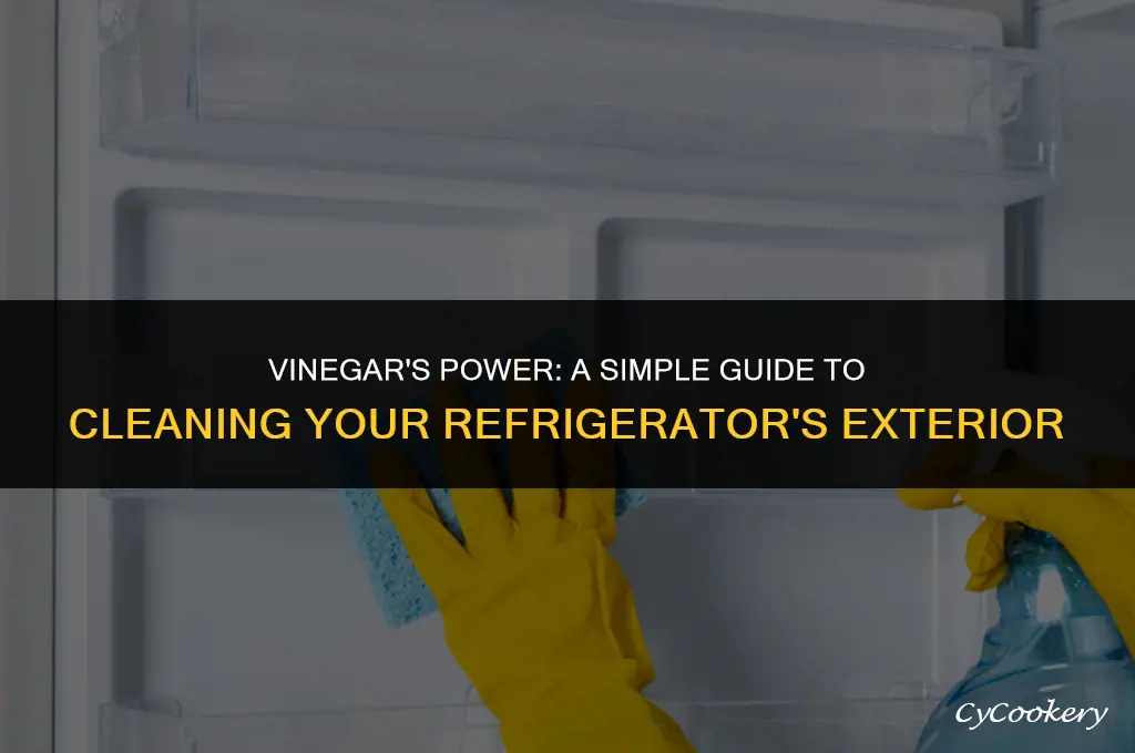 how to clean outside of refrigerator with vinegar