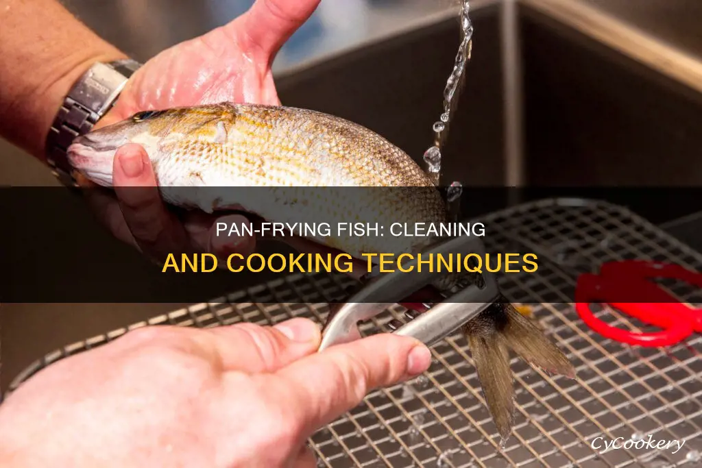 how to clean pan fish