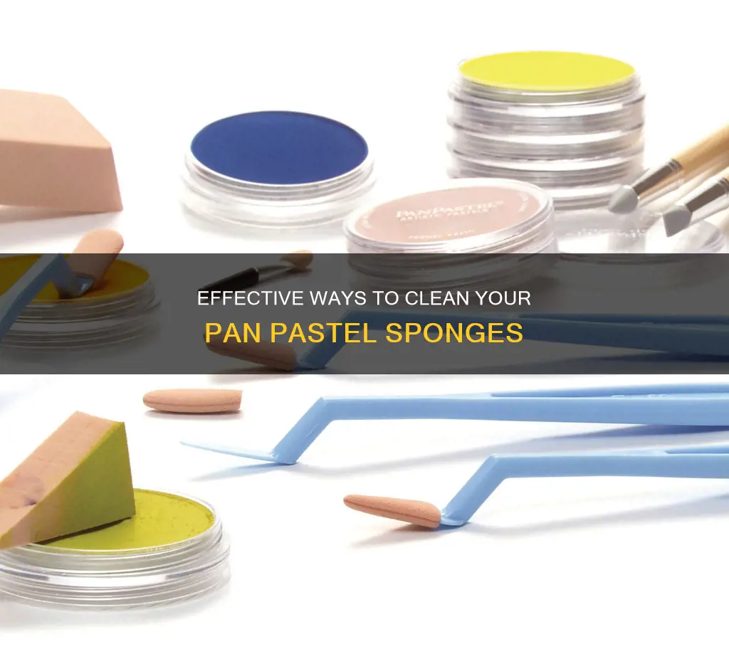 how to clean pan pastel sponges