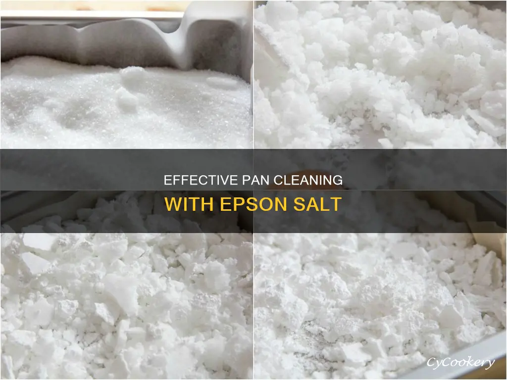 how to clean pan with epson salt