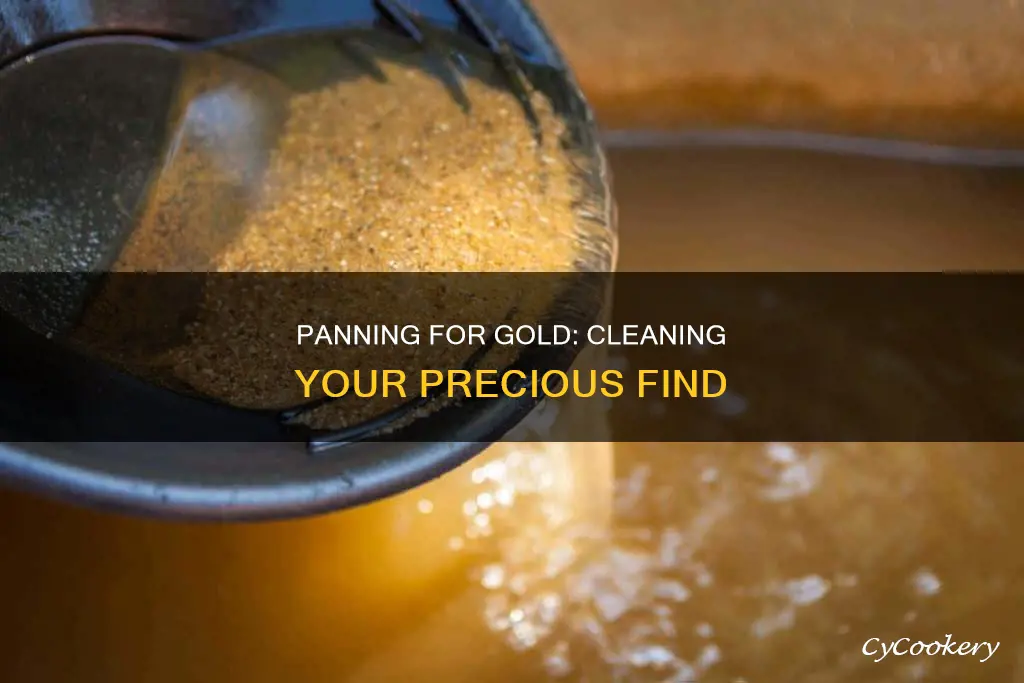 how to clean panned gold