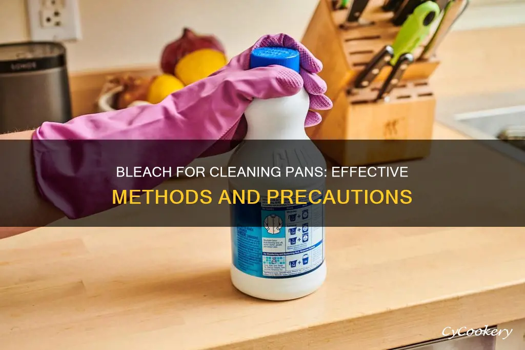 how to clean pans with bleach