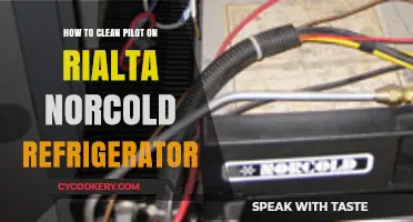 Revive Your Rialta Norcold: A Guide to Cleaning the Pilot