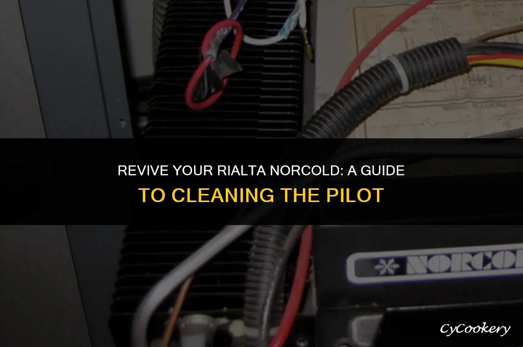 how to clean pilot on rialta norcold refrigerator