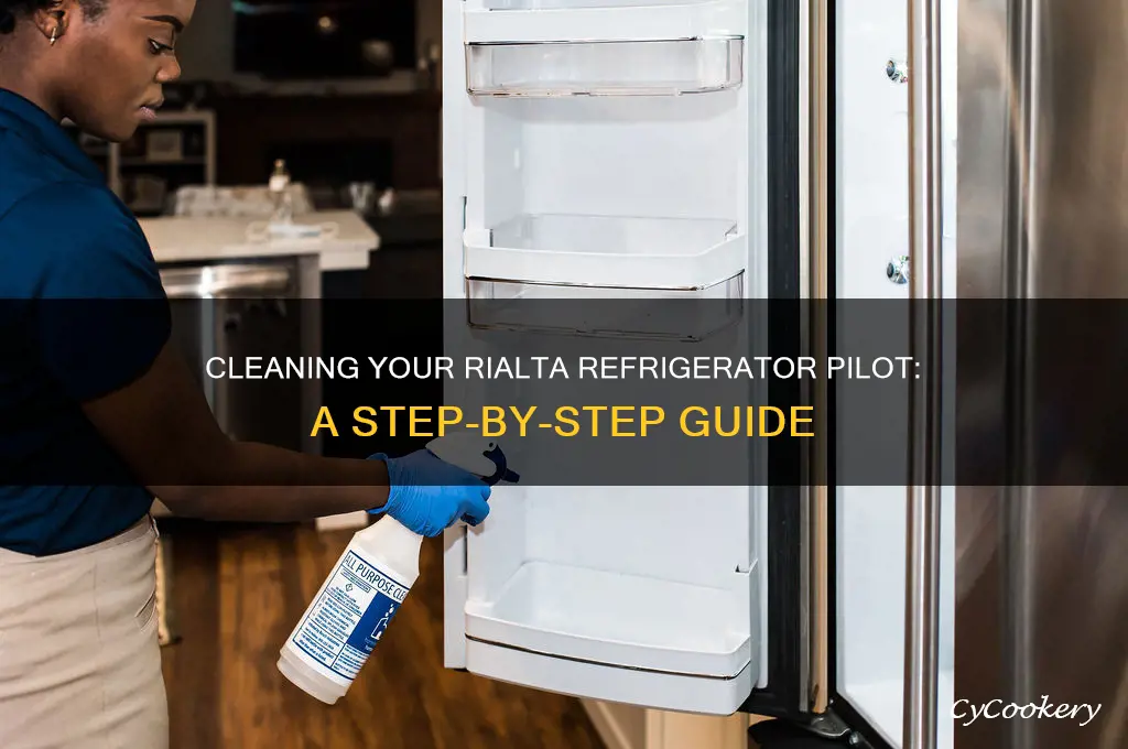 how to clean pilot on rialta refrigerator