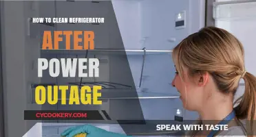 Quick Guide to Safely Cleaning Your Fridge Post-Power Outage