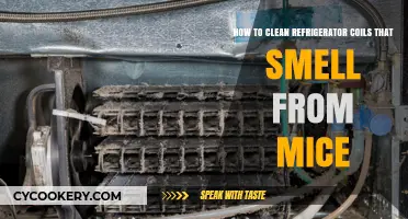 Freshen Up Your Fridge: A Guide to Cleaning Coils with Mice Odors
