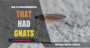 Effective Steps to Clean Your Fridge and Eliminate Gnats Permanently