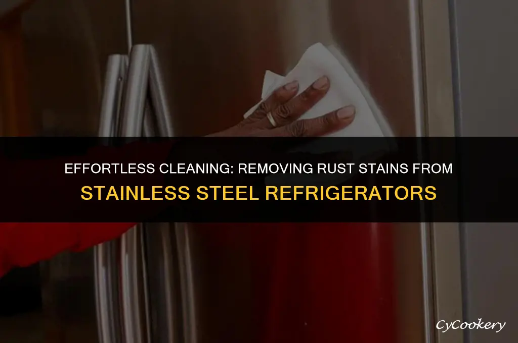 how to clean rist stains from stainless steel refrigerator