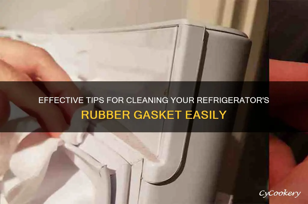 how to clean rubber gasket on refrigerator