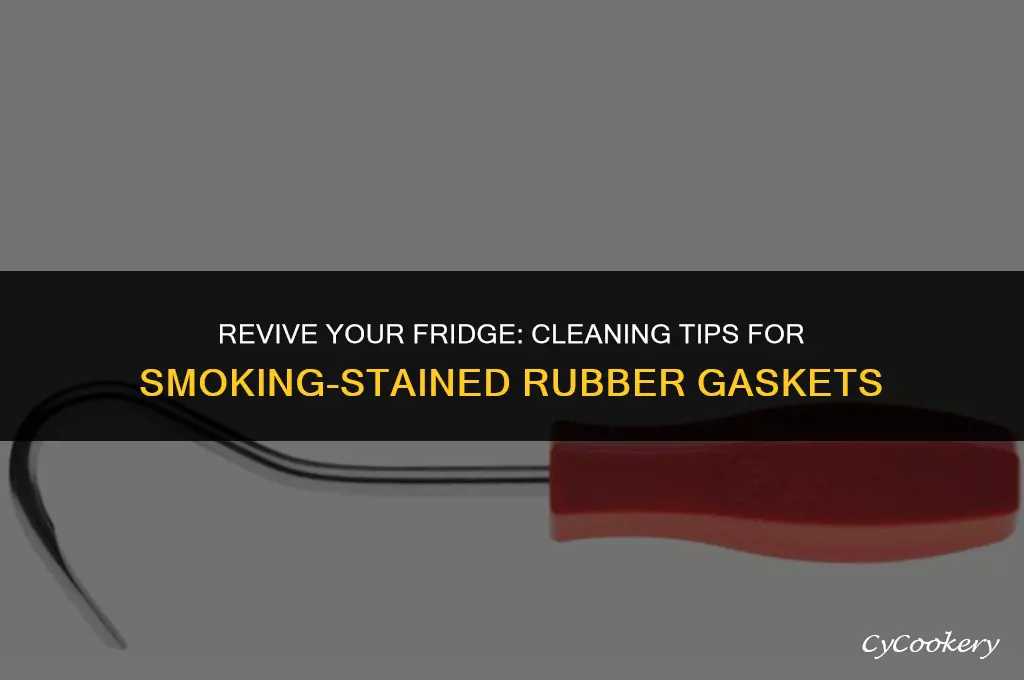 how to clean smoking stained rubber gasket on refrigerator