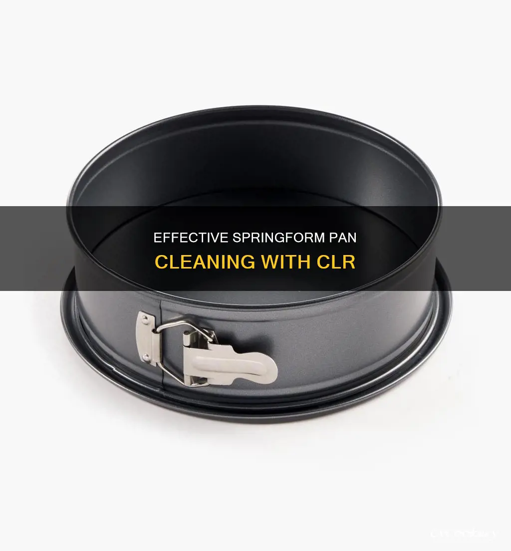 how to clean spring form pan with clr