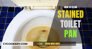 Toilet Pan Stains: Effective Cleaning Methods Revealed