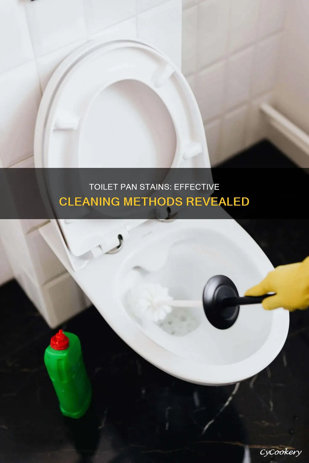 how to clean stained toilet pan