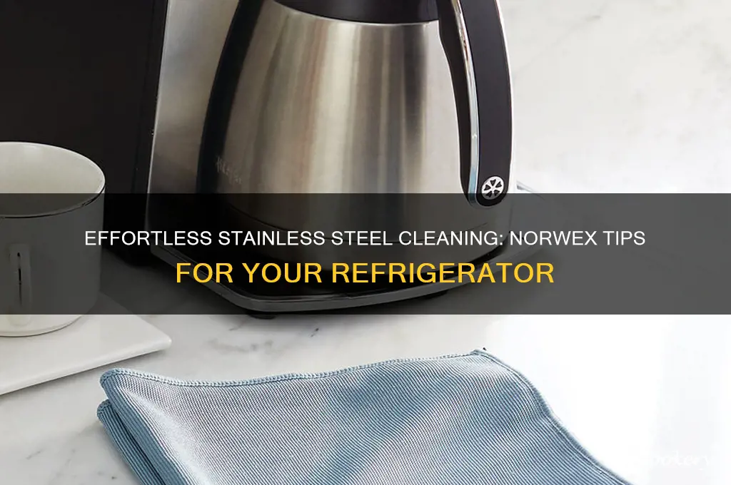 how to clean stainless refrigerator with norwex