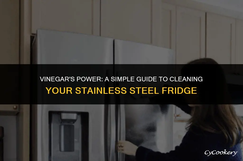 how to clean stainless steel refrigerator with vinegar